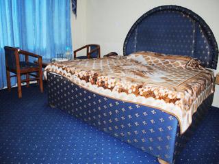 Hotel Neha Palace